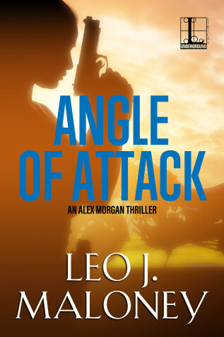Cover of Angle of Attack