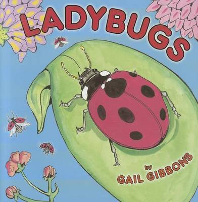 Book cover for Ladybugs