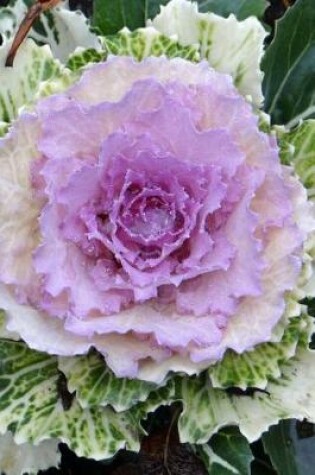 Cover of Decorative Flowering Cabbage Journal