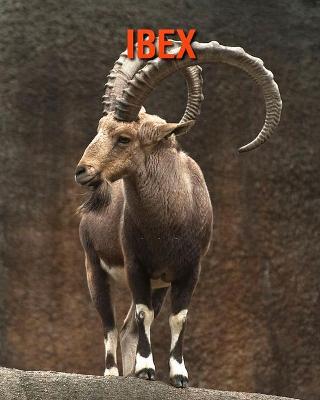 Book cover for Ibex