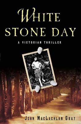 Book cover for White Stone Day