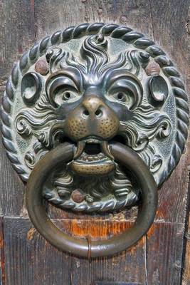 Book cover for Decorative Brass Lion Door Knocker Journal