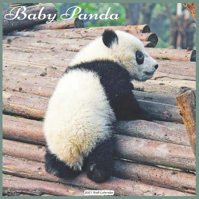 Book cover for Baby Panda 2021 Wall Calendar