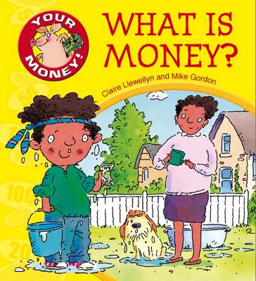 Book cover for What is Money?