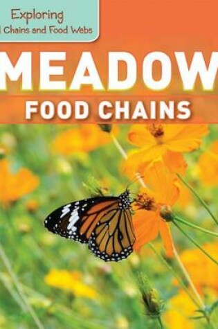 Cover of Meadow Food Chains