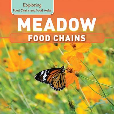 Book cover for Meadow Food Chains