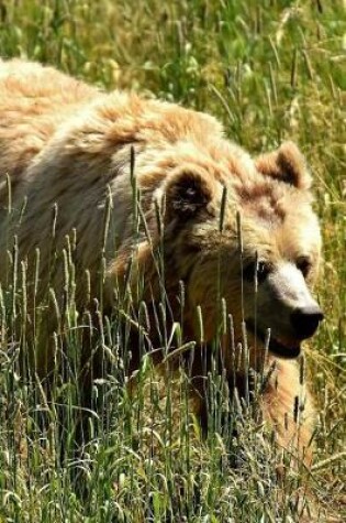 Cover of European Brown Bear Walking in a Meadow Journal