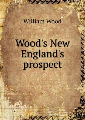 Book cover for Wood's New England's prospect