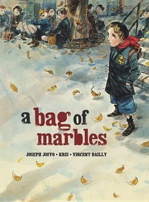 Book cover for A Bag of Marbles