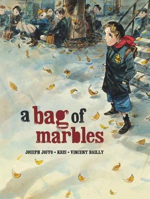 Book cover for A Bag Of Marbles