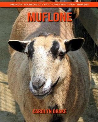 Book cover for Muflone