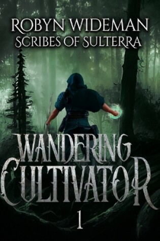 Wandering Cultivator of the Broken Empire, Book 1