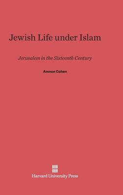 Book cover for Jewish Life Under Islam