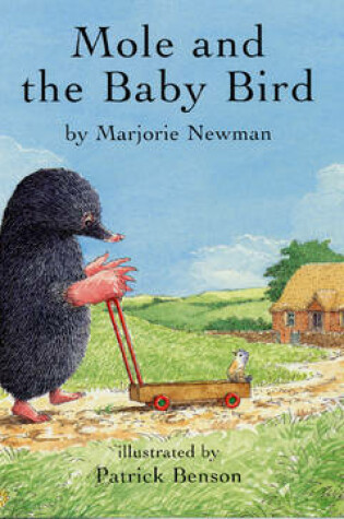 Cover of Mole and the Baby Bird