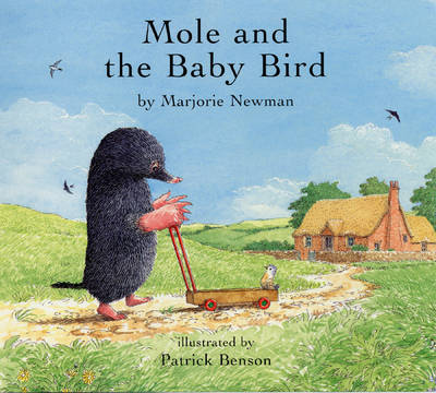 Book cover for Mole and the Baby Bird