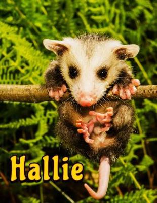 Book cover for Hallie