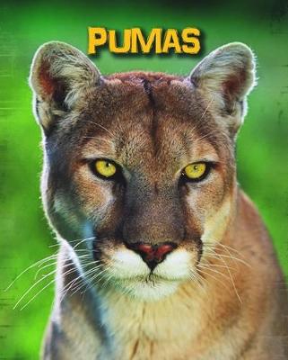Book cover for Pumas