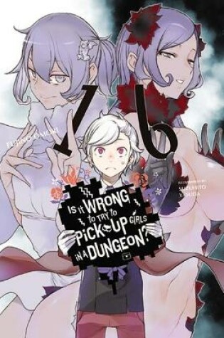 Cover of Is It Wrong to Try to Pick Up Girls in a Dungeon?, Vol. 16 (light novel)