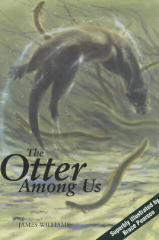 Cover of The Otter Among Us