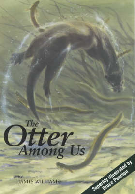 Book cover for The Otter Among Us