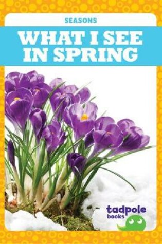 Cover of What I See in Spring
