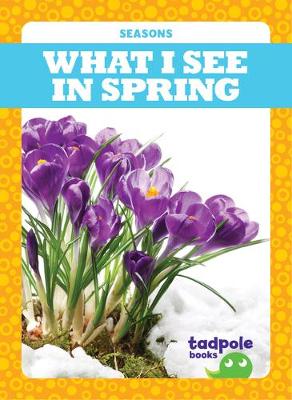 Book cover for What I See in Spring