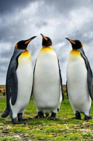 Cover of Antarctic Penguin Trio (for the Love of Animals)