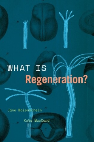 Cover of What Is Regeneration?