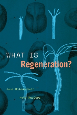 Book cover for What Is Regeneration?