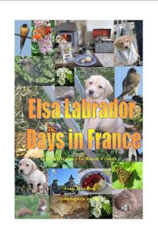 Cover of Elsa Labrador Dog Days in France