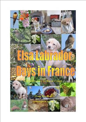 Book cover for Elsa Labrador Dog Days in France