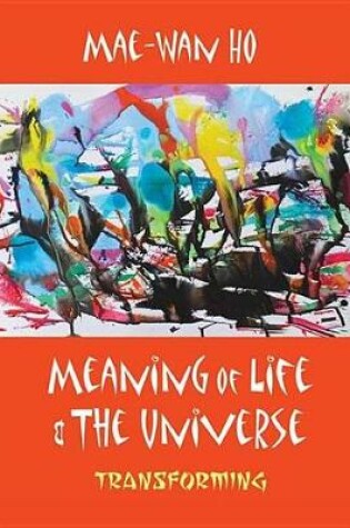 Cover of Meaning of Life and the Universe