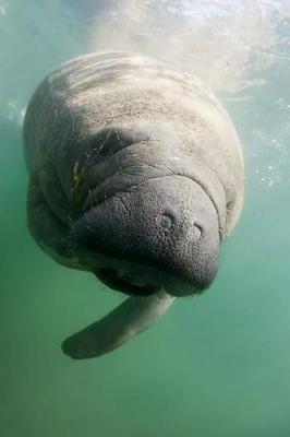 Book cover for Underwater Florida Manatee Marine Animal Journal