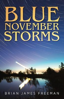 Book cover for Blue November Storms