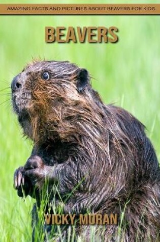 Cover of Beavers