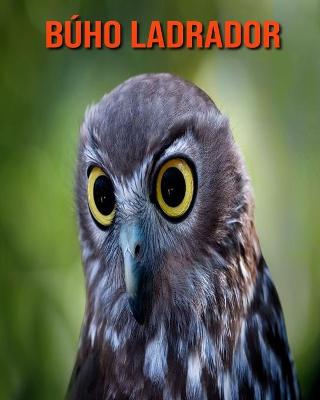 Book cover for Búho ladrador