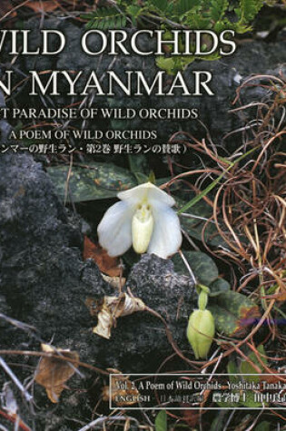 Cover of Wild Orchids in Myanmar Vol 2