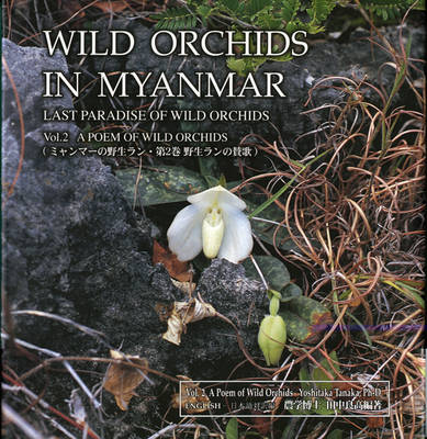 Book cover for Wild Orchids in Myanmar Vol 2