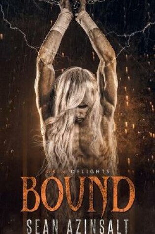 Cover of Bound