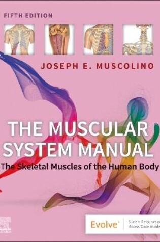 Cover of The Muscular System Manual - E-Book