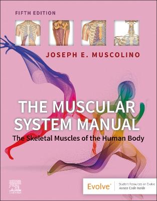 Book cover for The Muscular System Manual - E-Book