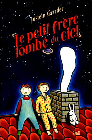 Book cover for Petit Fr're Tomb' Du Ciel(le)