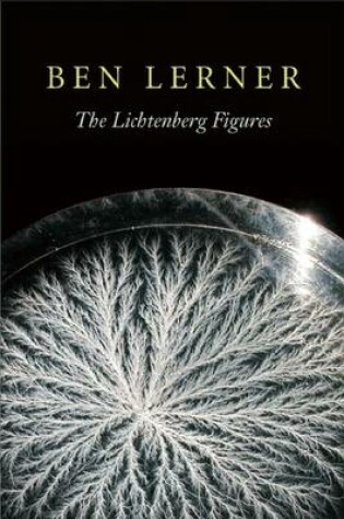 Cover of The Lichtenberg Figures