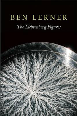 Book cover for The Lichtenberg Figures