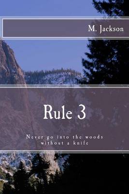 Book cover for Rule 3