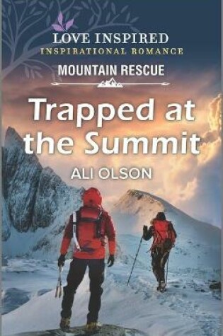 Cover of Trapped at the Summit