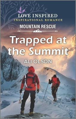 Book cover for Trapped at the Summit