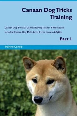 Cover of Canaan Dog Tricks Training Canaan Dog Tricks & Games Training Tracker & Workbook. Includes