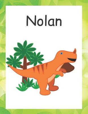 Book cover for Nolan