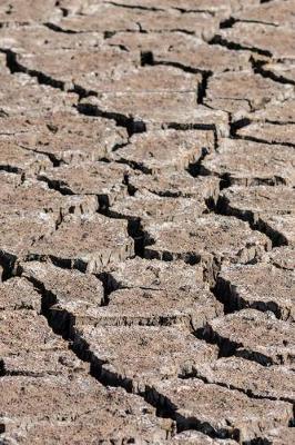 Book cover for Dry Cracked Ground from a Drought in a Swamp Journal